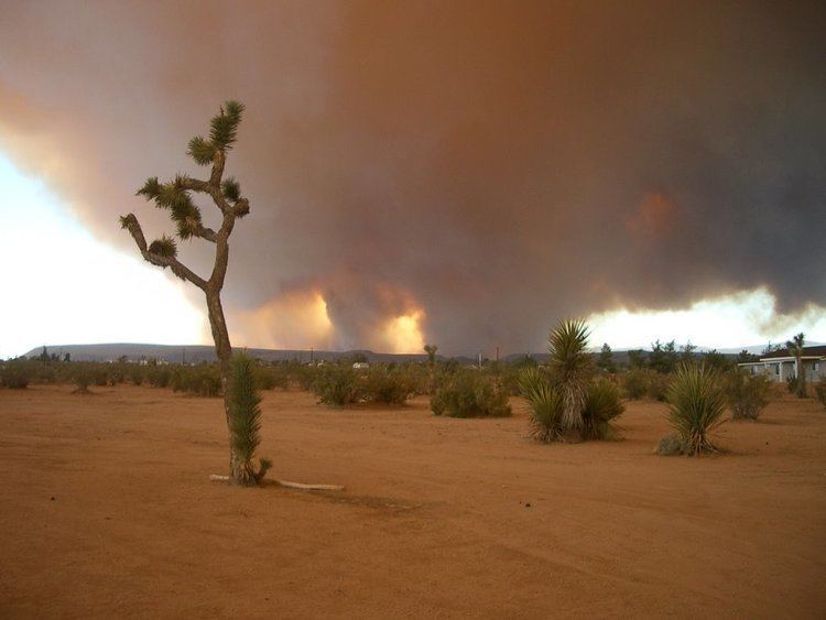 Sawtooth Complex Fire Panoramio Photo of Sawtooth Complex Fire Yucca Valley CA 72006