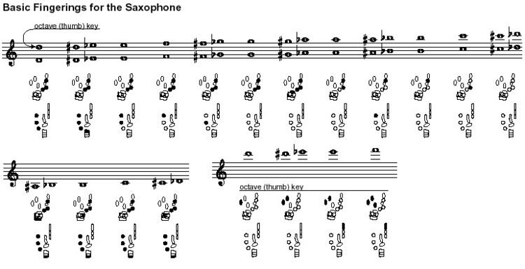 Saxophone technique