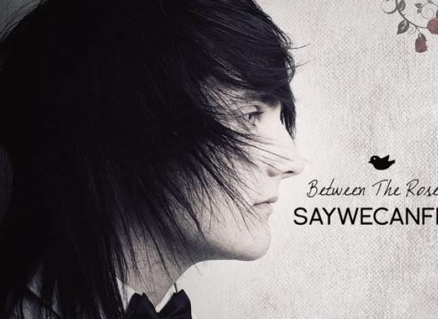 SayWeCanFly Epitaph Records signs solo acoustic act SayWeCanFly News