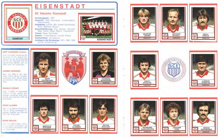 SC Eisenstadt Die groe PaniniNostalgie Das Album zur BundesligaSaison 198283