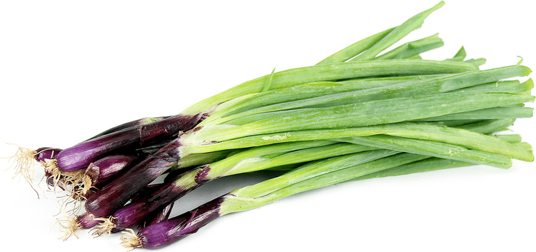 Scallion Red Tip Scallion Information and Facts
