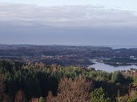 Scandinavian coastal conifer forests httpsuploadwikimediaorgwikipediacommonsthu