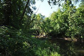 Scantic River State Park httpsuploadwikimediaorgwikipediacommonsthu