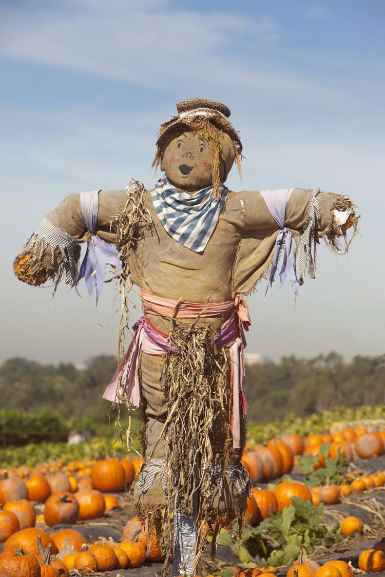 Scarecrow How to Make a Scarecrow That Actually Works