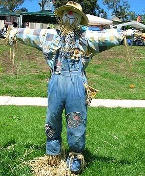 Scarecrow 1000 images about Scarecrow Inspiration on Pinterest Gardens