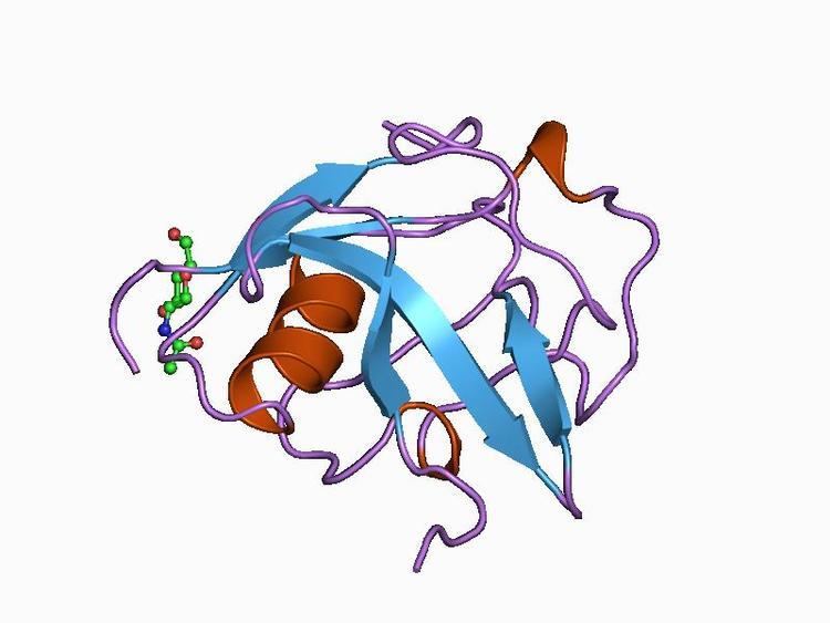 Scavenger receptor cysteine-rich protein domain