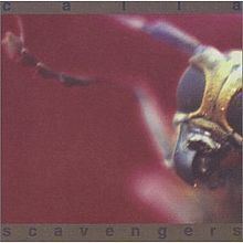 Scavengers (album) httpsuploadwikimediaorgwikipediaenthumb7