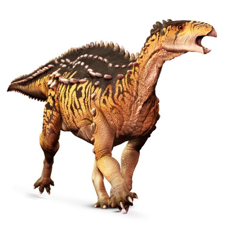 Scelidosaurus rescloudinarycomdkfindoutimageuploadq80w