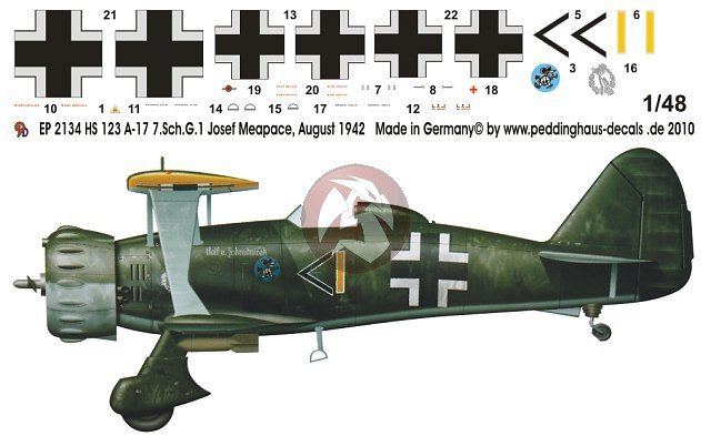 Schlachtgeschwader 1 Peddinghaus 148 Henschel Hs 123 A1 Markings Josef Menapace Russia
