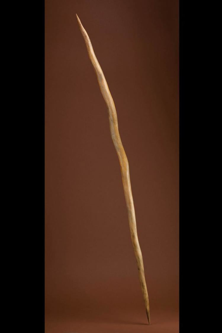 Schöningen Spears Oldest Wooden Spear The Smithsonian Institution39s Human Origins