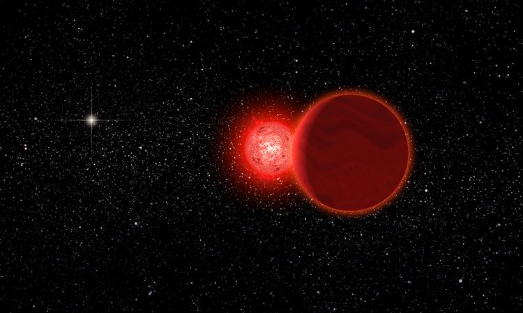 Scholz's star A close call of 08 light years NewsCenter