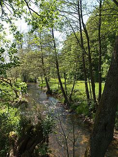 Schondra (river) httpsuploadwikimediaorgwikipediacommonsthu