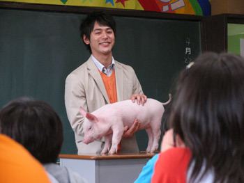 School Days with a Pig REVIEW School Days With A Pig The Bulletin
