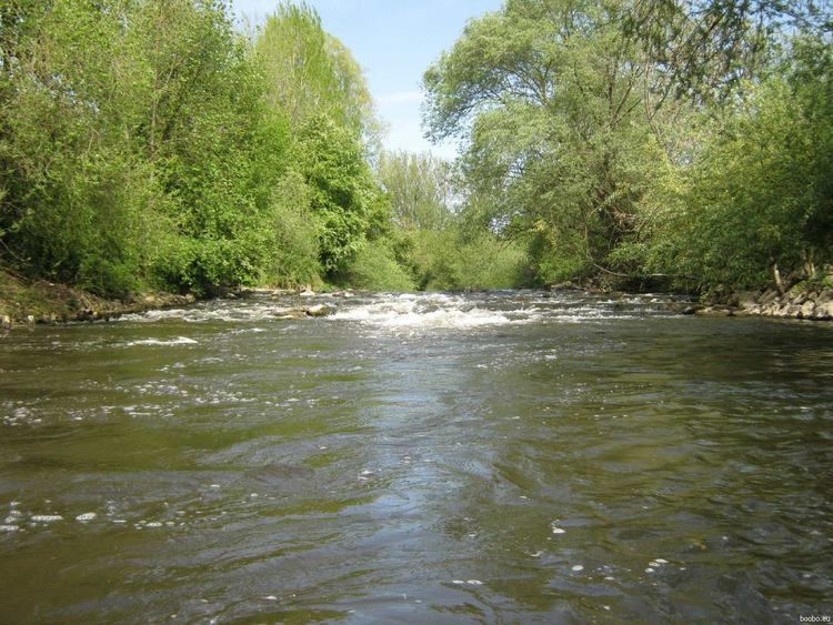 Schussen wwwbooboeuimagesdieschussen30042012032ey