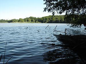 Schwarzer See (Mildenitz) httpsuploadwikimediaorgwikipediacommonsthu