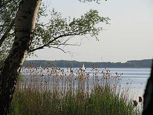 Schwielochsee (lake) httpsuploadwikimediaorgwikipediacommonsthu
