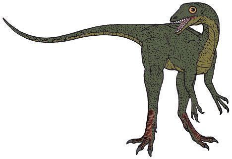 Scipionyx Scipionyx Dinosaur Facts information about the dinosaur scipionyx