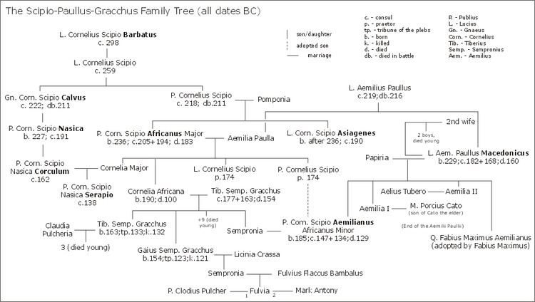 Scipio–Paullus–Gracchus family tree