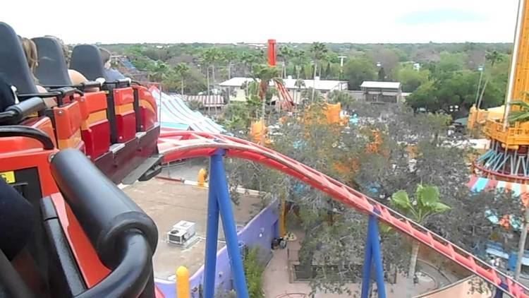 Scorpion (roller coaster) Busch Gardens Tampa Scorpion Roller Coaster YouTube