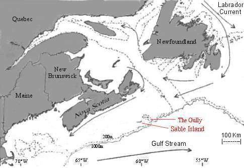 Scotian Shelf Canadian Coral Hunting Deep Sea News