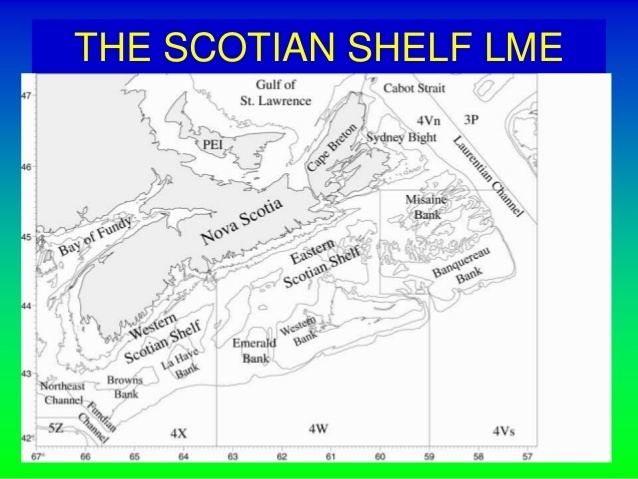 Scotian Shelf Application of LME Indicators Scotian Shelf LME and the US Northeast