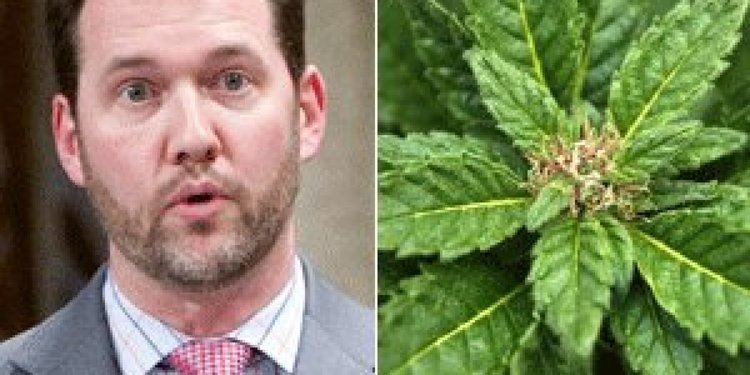 Scott Reid (politician) Tory MP Scott Reid Backed Pot Legalization In Front Of