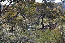 Scottsdale Reserve httpsuploadwikimediaorgwikipediacommonsthu