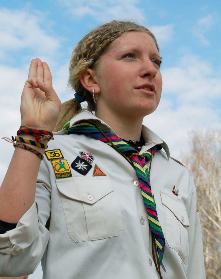 Scout sign and salute