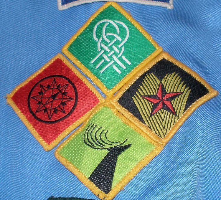 Scouts (Scouting Ireland)