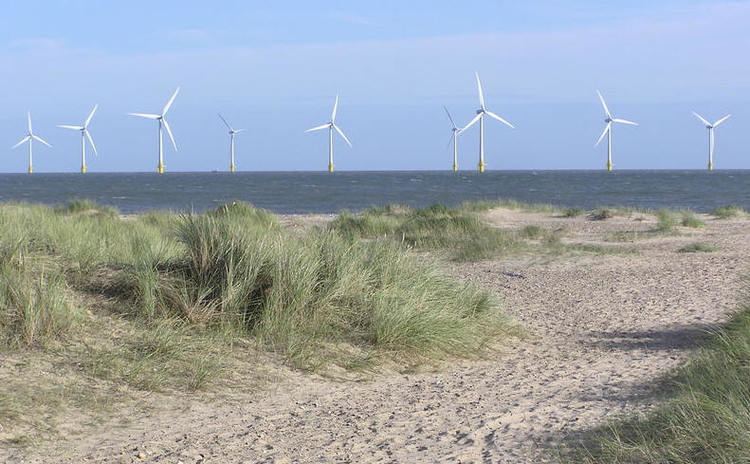 Scroby Sands Wind Farm The myth of the 39ecofriendly39 windfarm