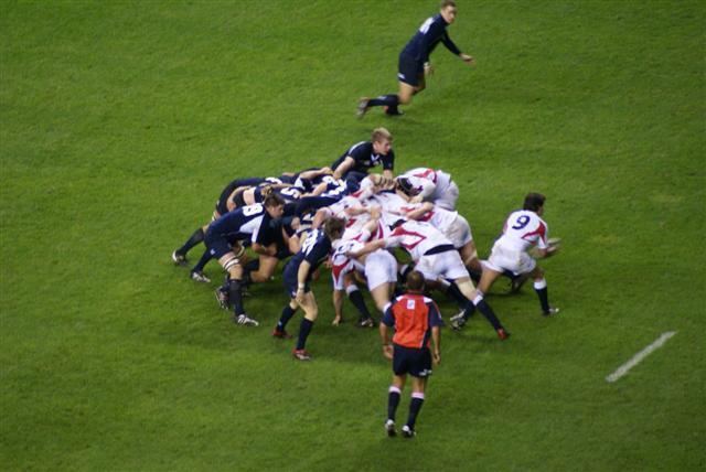 Scrum (rugby union)