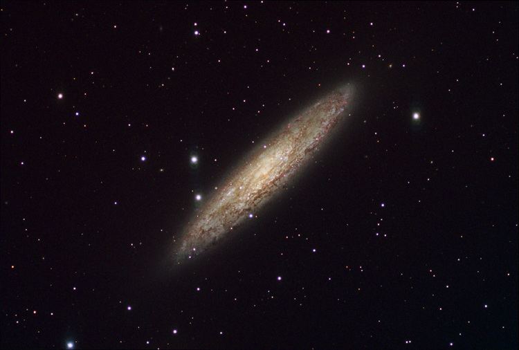 Sculptor Galaxy NGC 253 Sculptor Galaxy