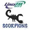 Scunthorpe Scorpions wwwnapitcoukviewusinfobankmotorsportbritish