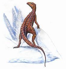 Scutellosaurus httpsuploadwikimediaorgwikipediacommonsthu