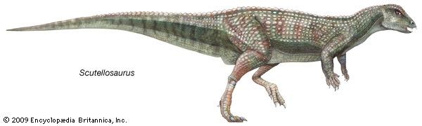 Scutellosaurus Scutellosaurus dinosaur Britannicacom