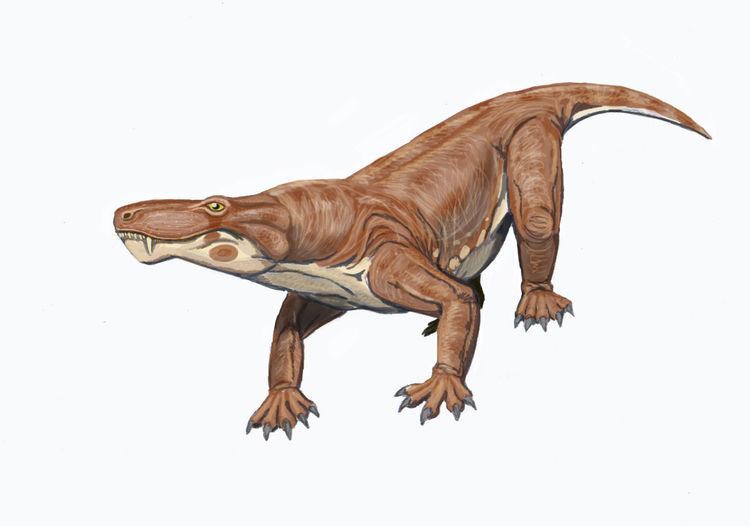 Scylacosauridae