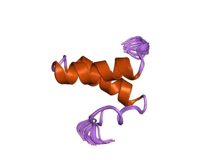 Sda protein domain
