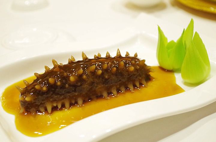 Sea cucumber as food Sea cucumber and kidney health Ping Ming Health