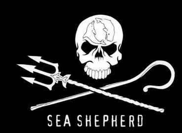 Sea Shepherd Conservation Society httpsuploadwikimediaorgwikipediaen778SSC