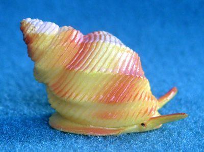A  yellow and pink Sea Snail.
