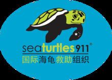 Sea Turtles 911 httpsuploadwikimediaorgwikipediaenthumbe