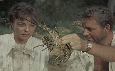 Sea Wife Sea Wife 1957 starring by Joan Collins Richard Burton Basil