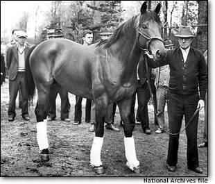 Seabiscuit Seabiscuit An American legend