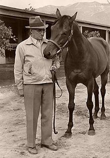 Seabiscuit Seabiscuit Wikipedia