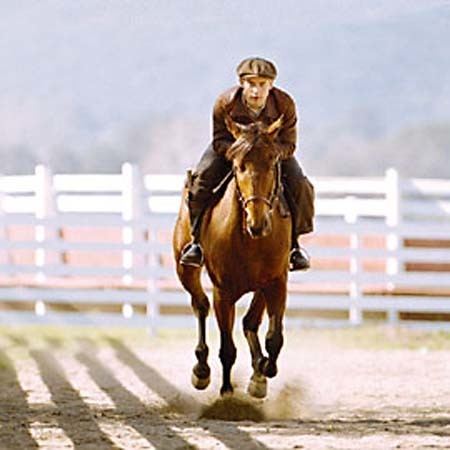 Seabiscuit (film) Seabiscuit Film Calendar The Austin Chronicle