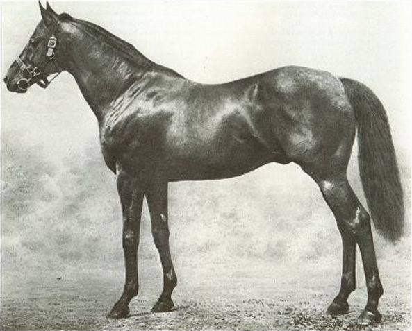 Seabreeze (horse)