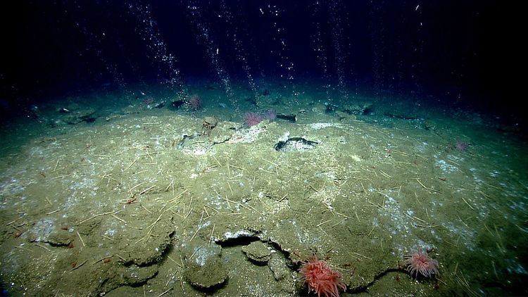 Seafloor mapping