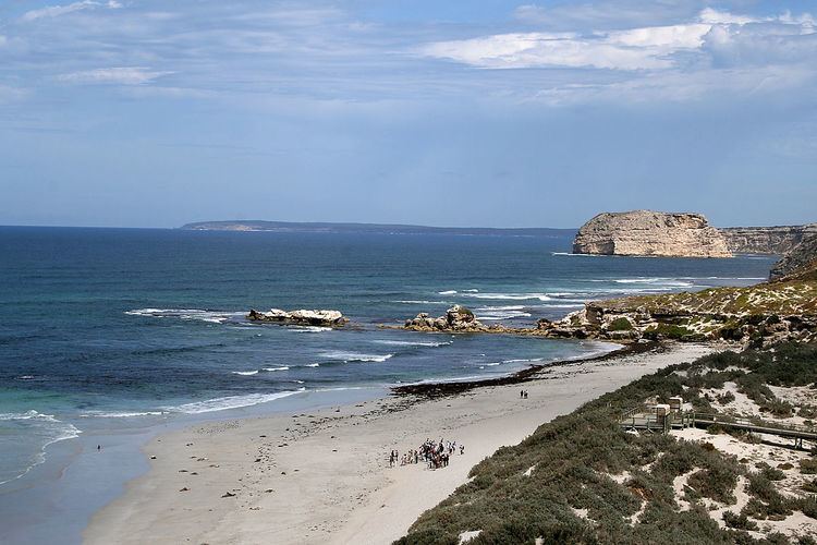 Seal Bay (South Australia)