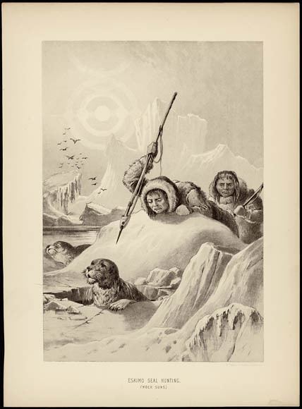 Seal hunting
