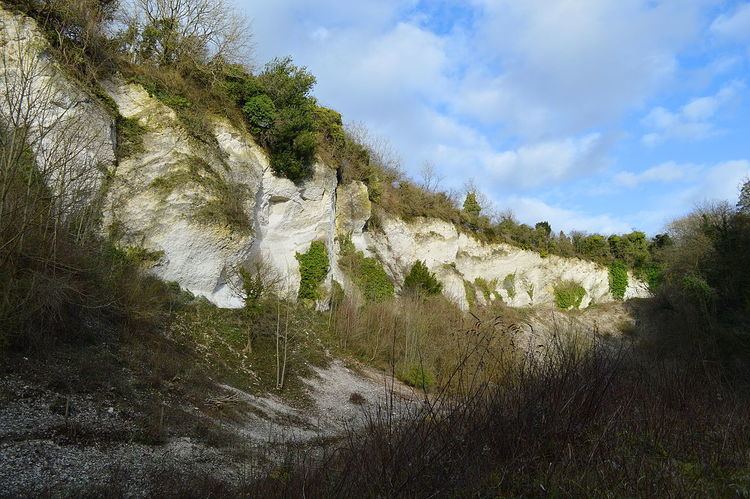 Seale Chalk Pit - Alchetron, The Free Social Encyclopedia